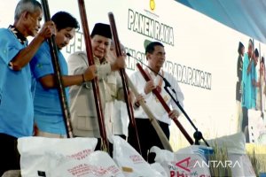 Prabowo mengumumkan swasembada pangan 2025. 
