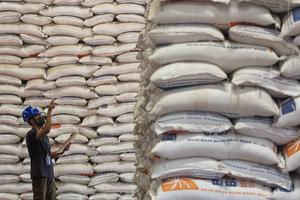 Ketersediaan beras premium di Bulog Batam