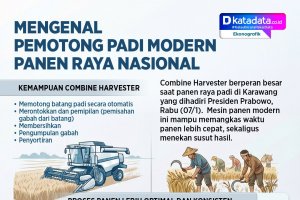 Infografik - Mengenal Pemotong Padi Modern Panen Raya Nasional