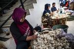 Target swasembada komoditas bawang putih