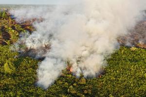 Kebakaran hutan dan lahan gambut meluas di Aceh Barat