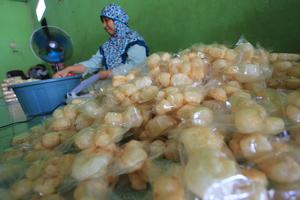 Realisasi penyaluran KUR 2025