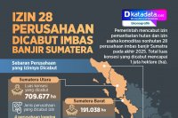 INFOGRAFIK: Izin 28 Perusahaan Dicabut Imbas Banjir Sumatera