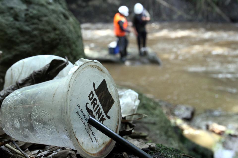 Biji Kelor Efektif Serap 98,5% Mikroplastik — Potensi Gantikan Tawas di Industri Filtrasi Air