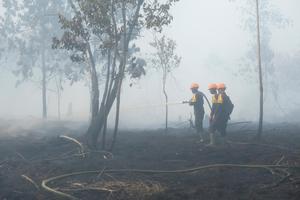 Pemadaman karhutla di sekitar Bandara Supadio
