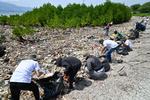Aksi bersih sampah kawasan konservasi mangrove di Palu
