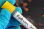 Apa itu Virus Nipah