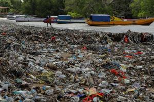 Taman Wisata Laut Teluk Kupang dipenuhi sampah