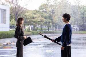 Drama Korea In Your Radiant Season