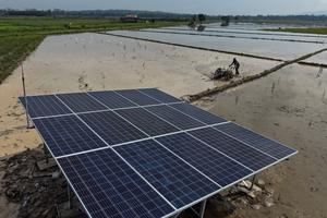 Pemanfaatan PLTS untuk irigasi pertanian di Konawe