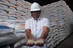 Ketersediaan beras Bulog di Kalimantan Barat