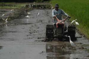 Peraturan tata ruang untuk cegah alih fungsi sawah