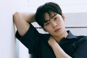 cha eun woo kasus pajak