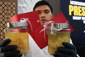 Pencegahan penyelundupan benih lobster di Bandara Soekarno Hatta