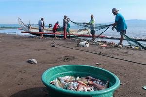 Ketersediaan Ikan Nasional
