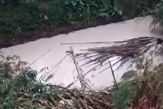 Kebakaran Gudang Pestisida di Tangsel Membuat Sungai Cisadane Tercemar