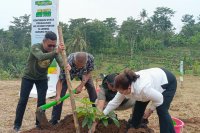 Penanaman pohon oleh Djarum Foundation di Desa Japan, Kabupaten Kudus, Jawa Tengah.
