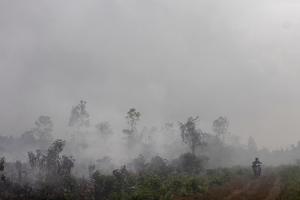 Kebakaran lahan gambut di Riau