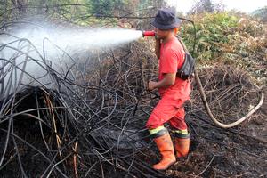 Pemadaman kebakaran hutan dan lahan di Dumai
