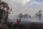 Kebakaran lahan gambut di Riau