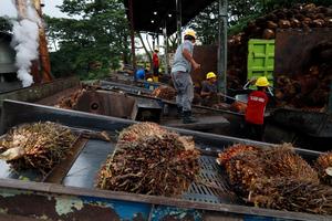 Pertumbuhan ekonomi Sulbar sepanjang 2025