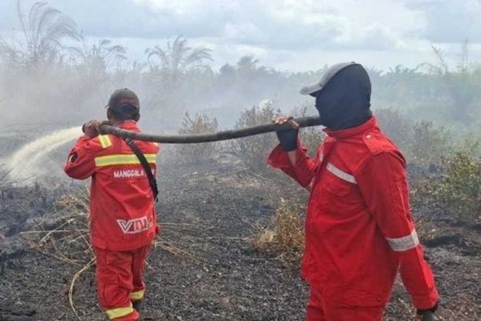 Tim Manggala Agni Balai Pengendalian Kebakaran Hutan Wilayah Sumatera telah menangani pemadaman api di Provinsi Riau sejak minggu kedua Januari 2026.