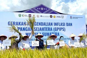 Bank Indonesia Panen Padi Musibanyuasin Sumatra Selatan