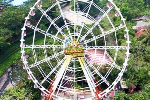 Jungleland