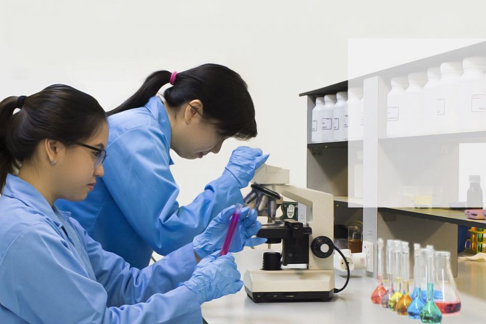 PT Soho Global Health Tbk