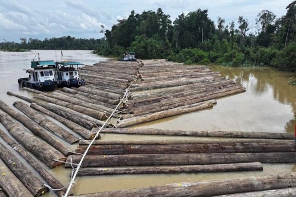 Aktivitas pengangkutan rakit kayu gelondongan di Sungai Kapuas, wilayah Desa Sei Hanyo, Kalimantan Tengah