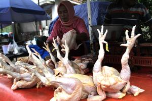 Komoditas pangan penyumbang inflasi Jatim