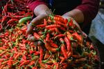 Harga cabai rawit merah melonjak