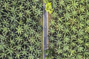 Arus mudik jalur alternatif Jambi-Sumbar