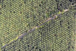 Arus mudik jalur alternatif Jambi-Sumbar