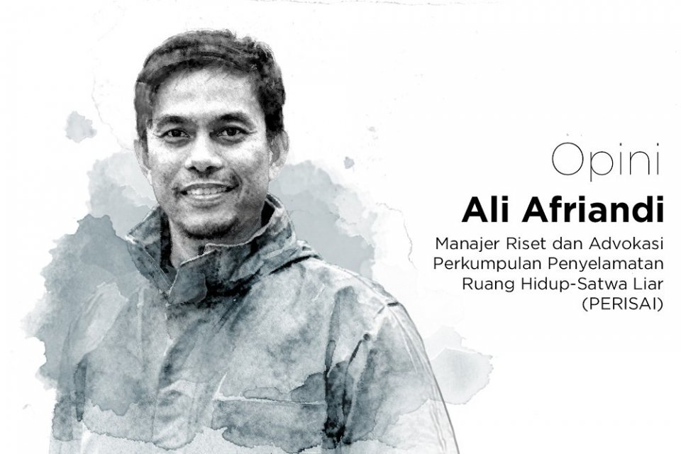 Narasi Negara dan Ilusi Perhutanan Sosial