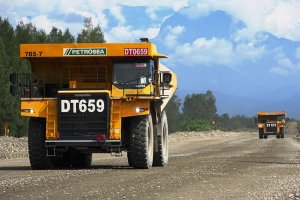 Struktur Kepemilikan Saham Diatas 1% PTRO