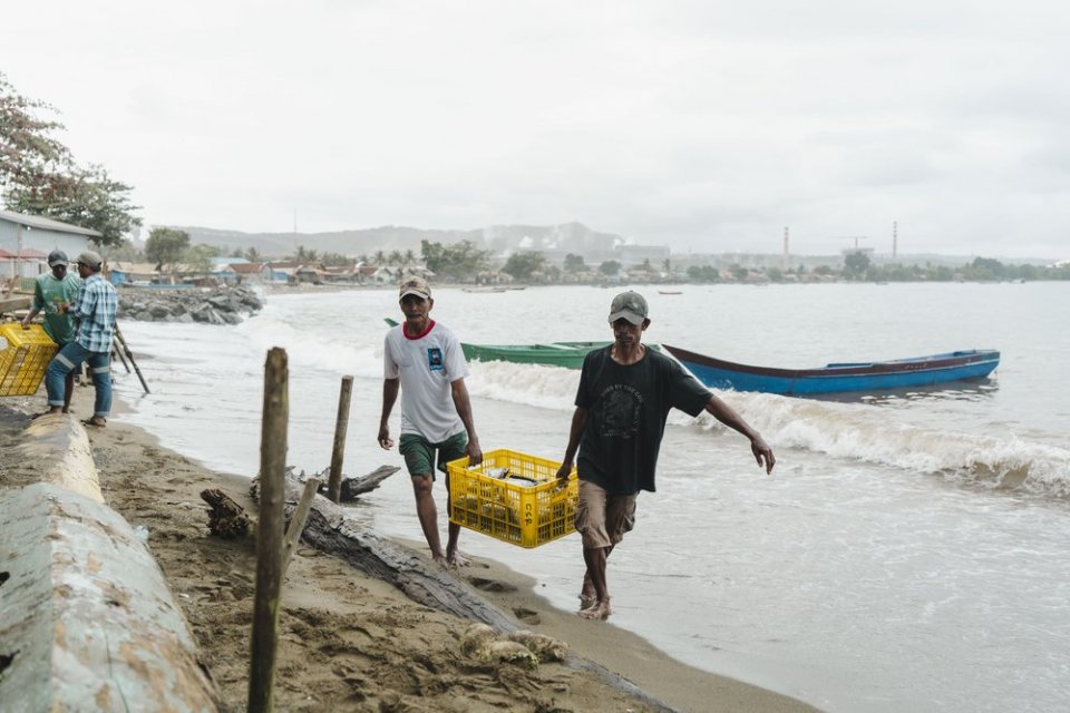 Nelayan membawa hasil tangkapan dari laut di pesisir Pulau Obi, Halmahera Selatan. Program SUTAN yang merupakan inisiatif Harita Nickel membuka akses pasar baru bagi hasil tangkapan nelayan lokal.