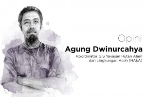 Agung Dwinurcahya