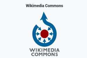 Wikimedia Commons