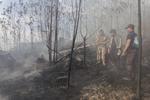 Titik panas di Kepri akibat cuaca panas ekstrem