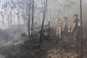 Titik panas di Kepri akibat cuaca panas ekstrem