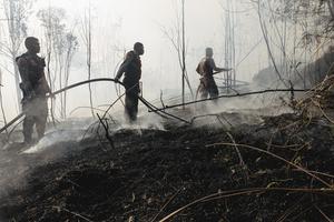Titik panas di Kepri akibat cuaca panas ekstrem