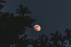 Ilustrasi Pink Moon April 2026