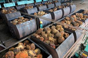 Harga referensi CPO naik