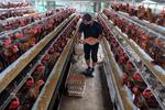 BPS catat perubahan IHPB Umum Nasional