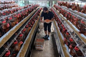 BPS catat perubahan IHPB Umum Nasional