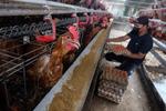 BPS catat perubahan IHPB Umum Nasional