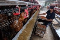 BPS catat perubahan IHPB Umum Nasional