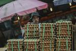 Pekerja informal didorong untuk manfaatkan diskon iuran JKK dan JKN