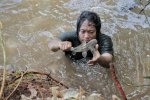 Ikan Sapu-sapu Mau Dibersihkan Pemprov Jakarta